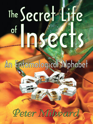 cover image of The Secret Life of Insects